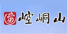 大鸡巴插