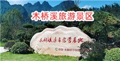 骚情美女大鸡巴